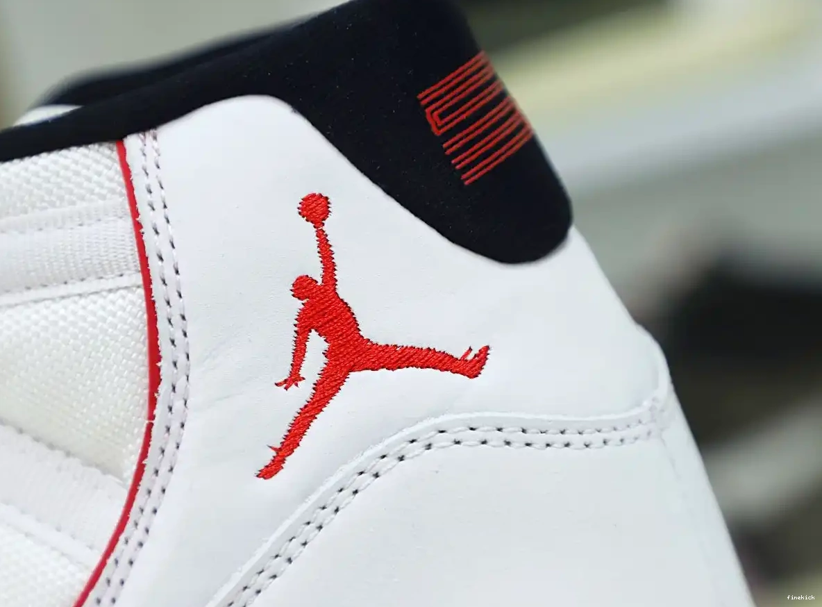11 PLATINUM JORDAN TINT RETRO XI AIR 0524